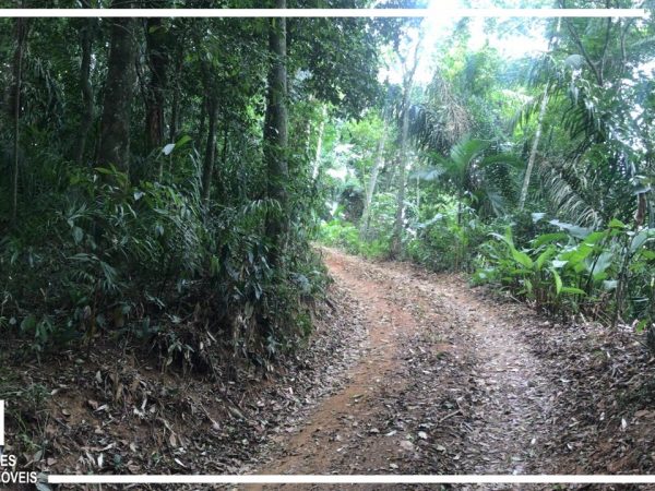 Terreno – Rua Amanda Grosch