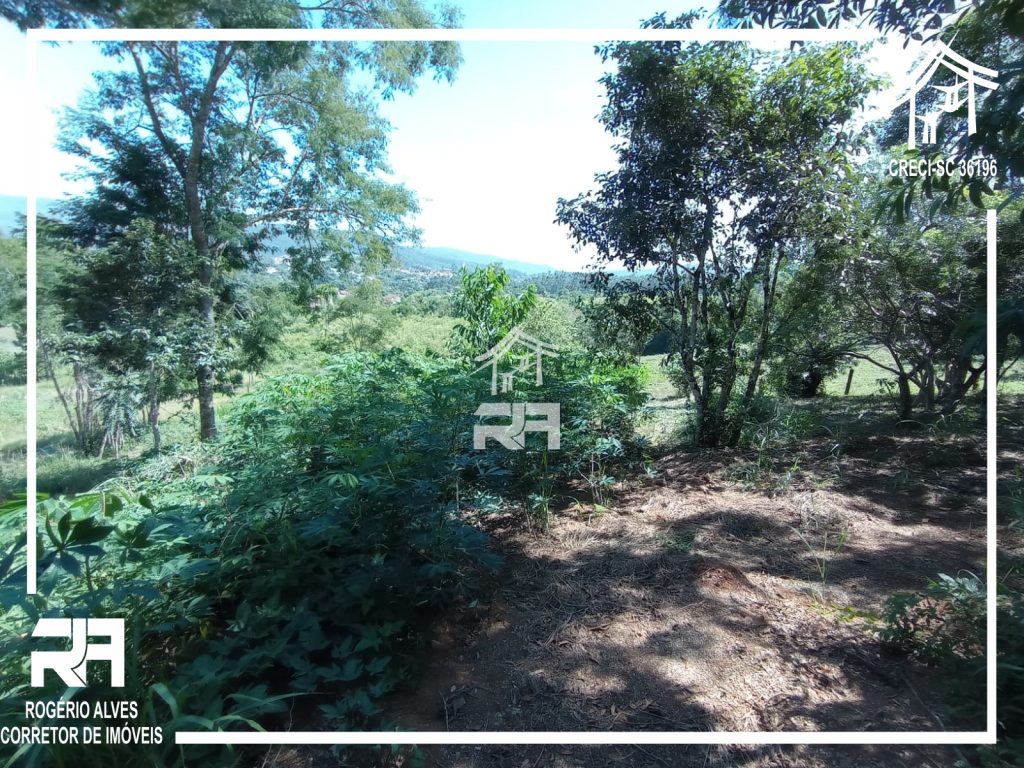 Terreno – Dalbérgia
