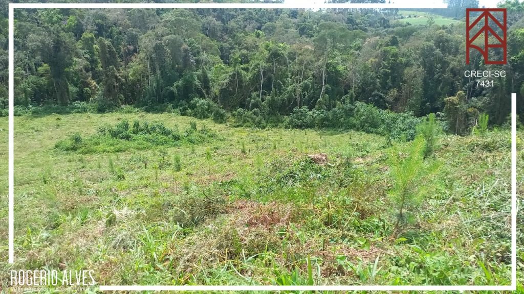 Investimento – Terreno Investimento – Terreno