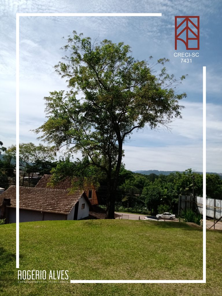 Casa Germânica – Dalbérgia