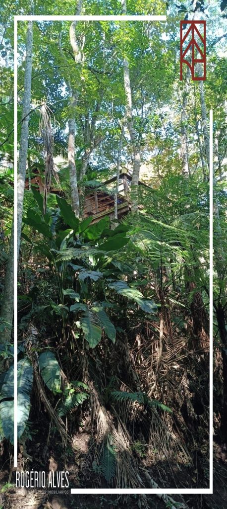 Sítio – Padre Anchieta – Ibirama